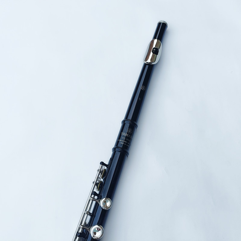 Musical Instrument Japan - Giappone 212 Nero 16 Fori Flauto