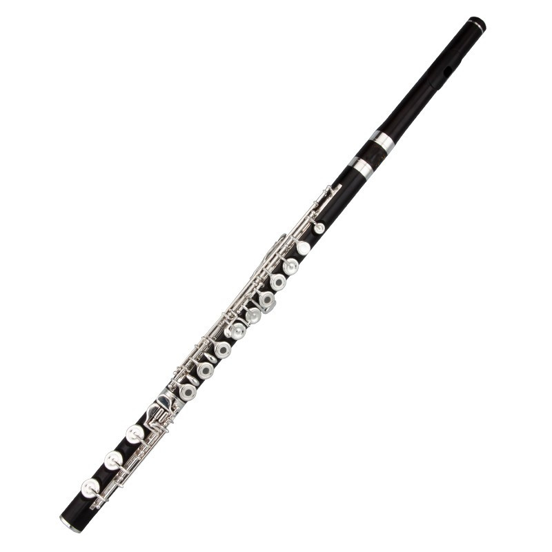Flauto Professionale Giappones - Musical Instrument Japan recensione e prezzo
