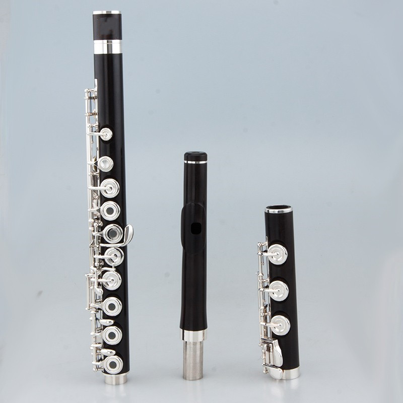 Flauto Professionale Giappones - Musical Instrument Japan recensione e prezzo