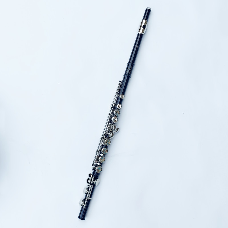 Giappone 212 Nero 16 Fori Flau - Musical Instrument Japan recensione e prezzo