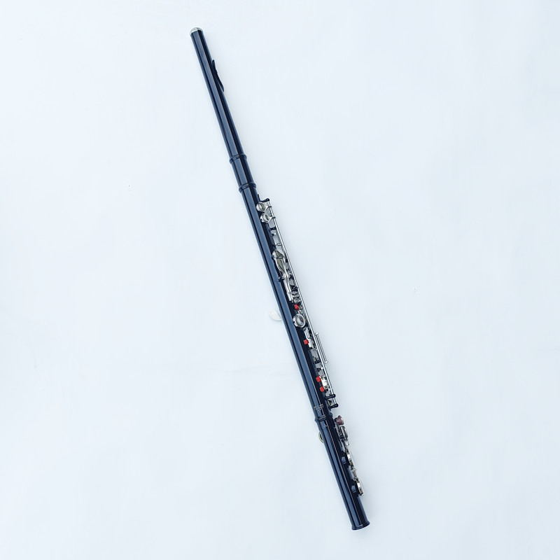 Giappone 212 Nero 16 Fori Flau - Musical Instrument Japan recensione e prezzo