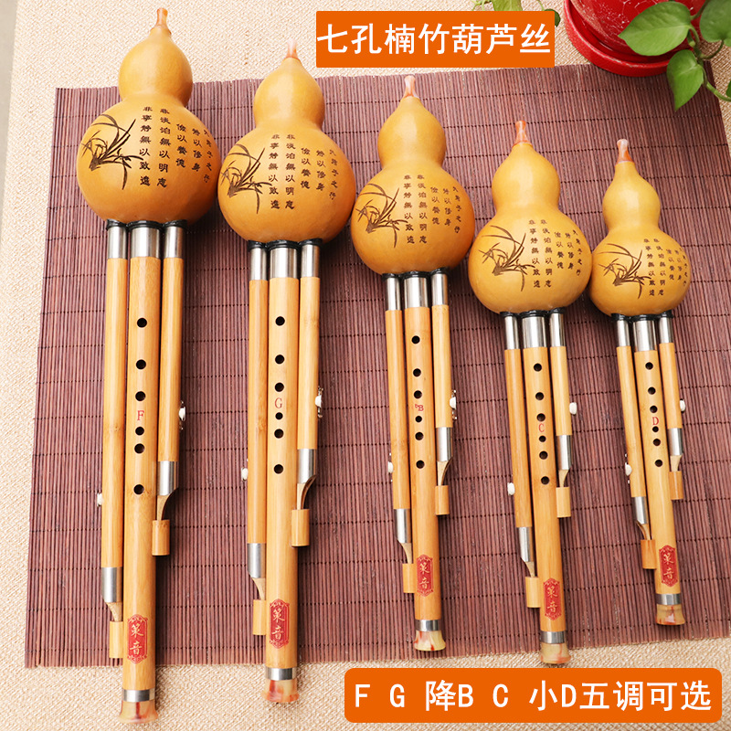 Strumento musicale in seta di  - Musical Instrument You Blow Into recensione e prezzo