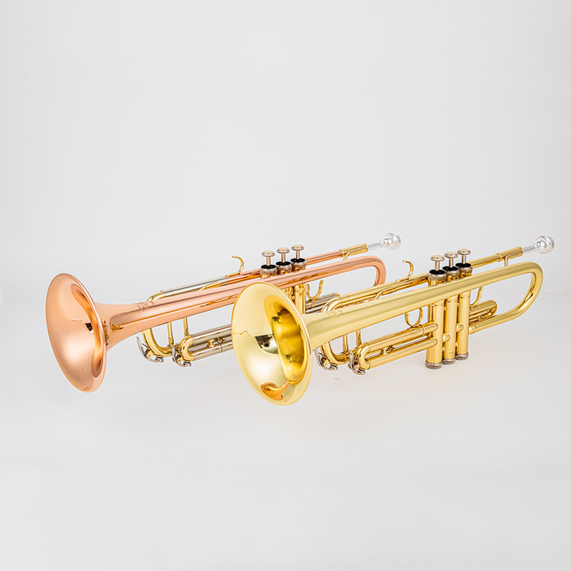 Giappone 8335 Tromba in Sib re - Musical Instrument Japan recensione e prezzo