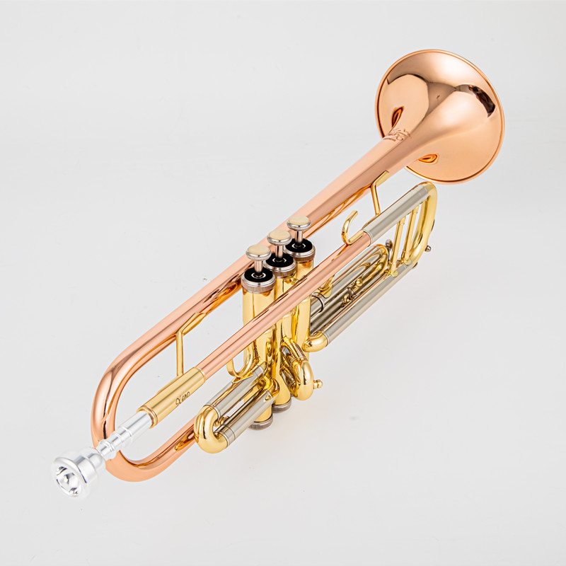 Giappone 8335 Tromba in Sib re - Musical Instrument Japan recensione e prezzo