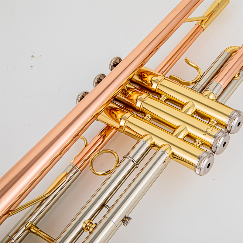 Giappone 8335 Tromba in Sib re - Musical Instrument Japan recensione e prezzo