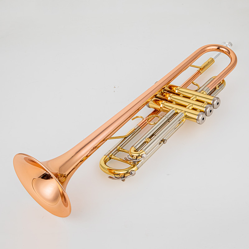 Giappone 8335 Tromba in Sib re - Musical Instrument Japan recensione e prezzo