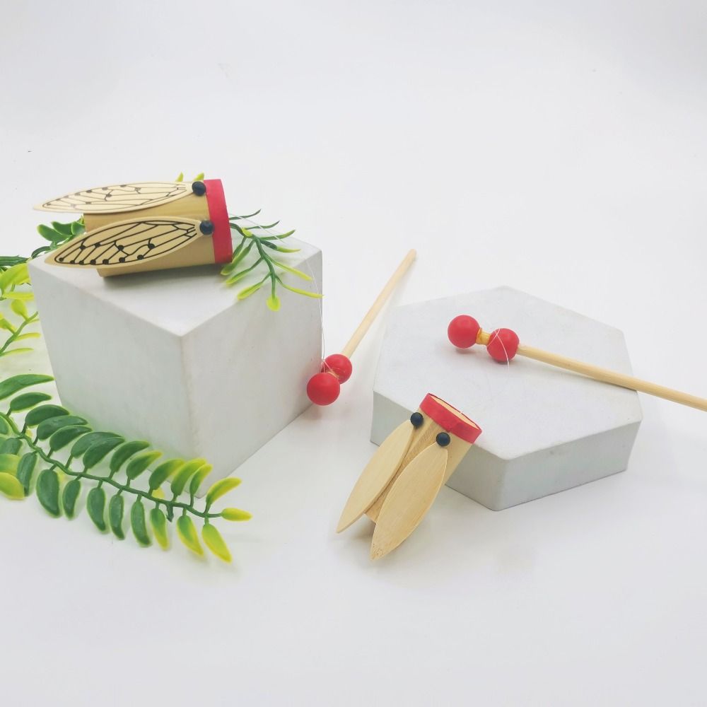 Strumento Musicale Tradizional - A Musical Instrument You Shake recensione e prezzo