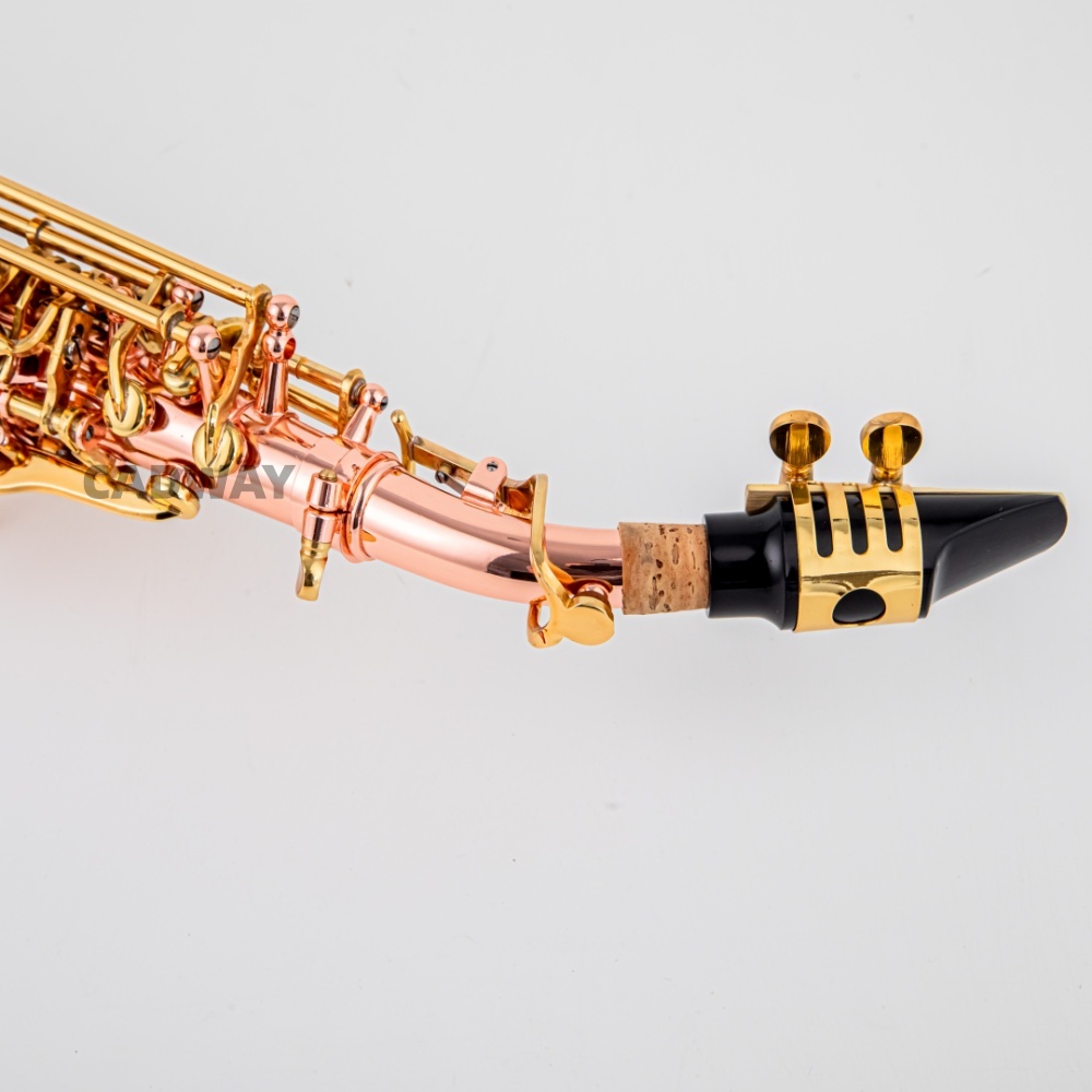 Sassofono Soprano Giapponese i - Musical Instrument Japan recensione e prezzo