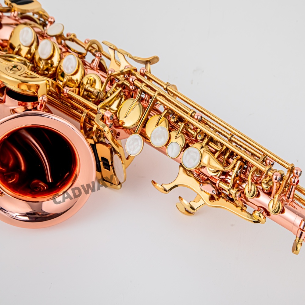 Sassofono Soprano Giapponese i - Musical Instrument Japan recensione e prezzo