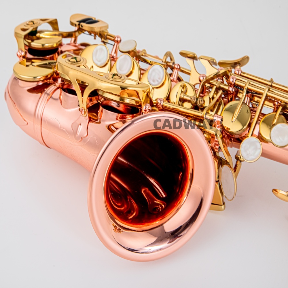 Sassofono Soprano Giapponese i - Musical Instrument Japan recensione e prezzo