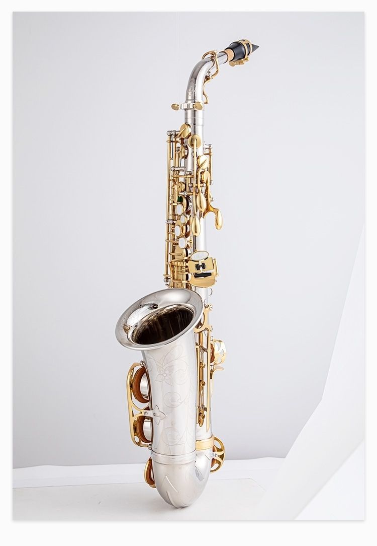 Sassofono Contralto Classico G - Musical Instrument Japan recensione e prezzo
