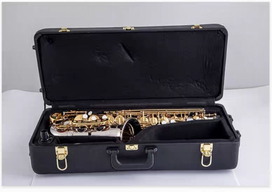 Sassofono Contralto Classico G - Musical Instrument Japan recensione e prezzo